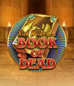 Начните захватывающий мир Book of Dead от Play'n GO, представляющий яркую графику приключений Рича Уайлда по древнеегипетским гробницам и артефактам. Найдите затерянные богатства с захватывающими механиками, такими как бесплатные вращения, расширяющиеся иконки и возможность игры на риск. Идеально для тех, кто ищет приключений, желающих волнующих находок.